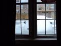 2008 SuperDuty Clearing Snow.