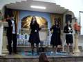 Quarteto Vital - Os Cravos