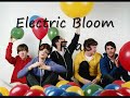 Electric Bloom by Foals