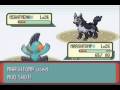 videos de Pokemon Emerald - Team Magma Leader Maxie (I)
