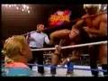 WWF WWE Ric Flair Wrestling Challenge 1991