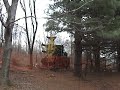 More ICC Tree Removal
