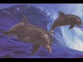 DELFINES