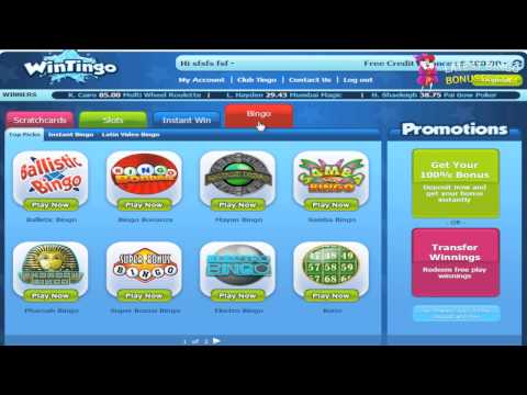 Wintingo Video Review