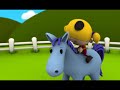 Pasture Time