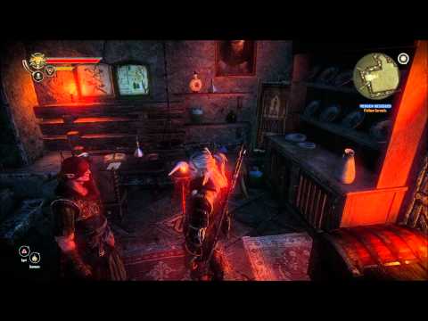 The Witcher 2 : Assassins of Kings