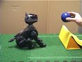 Combining Configural and TD Learning on a Robot: XOR Demo