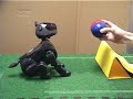 Combining Configural and TD Learning on a Robot: XOR Demo