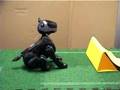 Combining Configural and TD Learning on a Robot: XOR Demo