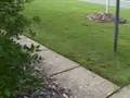 clip video Cerrone Aeration