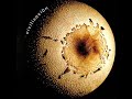 Los Piojos-Civilizacion(2007)(Album Completo)
