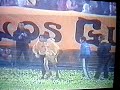 El Rifle Castellano. Descansando a Newells