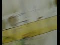 azotadme de oliverio girondo
