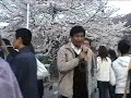 Hanami: Cherry Blossom Viewing Hanami: Cherry Blossom Viewing
