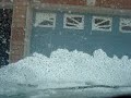 Yavar out on a typical snow day in Canada Part 1 0f 2 Yavar out on a typical snow day in Canada Part 1 0f 2