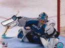 NHL Goalies NHL Goalies