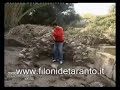 Filonide Taranto, Fornaro del tgnuestre e le scoperte archeo