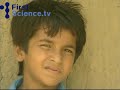 Monsoon: a killer storm floods an Indian village