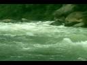 Having fun in the Ecuadorian  Rainforest River.wmv