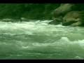 Having fun in the Ecuadorian  Rainforest River.wmv