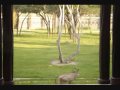 Just Take Some Time Chill Out Music