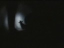 SHADOW PUPPETS SHADOW PUPPETS