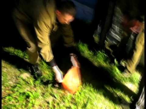 YouTube &ETH;&cent;&Ntilde;&ETH;&micro;&ETH;&sup1;&ETH;&raquo;&ETH;&micro;&Ntilde;