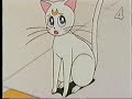 sailor-moon-r-episode-76-part-13-english-dubbed.html