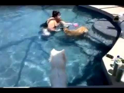 See video