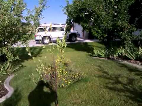 how to use htc wildfire s'camera