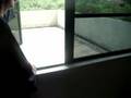 videos de anak bulan