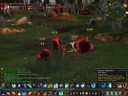 WOTLK t6 Fire Mage showing NEW BLASTWAVE