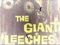 Theremin Tribute to Attack Of The Giant Leeches Theremin Tribute to Attack Of The Giant Leeches