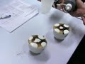 Making a Great Cappucino Making a Great Cappucino