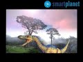 La diversidad de los dinosaurios