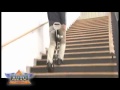 Honda Unveils Experimental Walking Assist Device