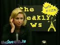 Iliza Shlesinger Cat Traffic Report Iliza Shlesinger Cat Traffic Report