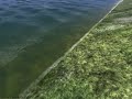 1c Maddox Games Battle Of Britain - Storm Of War. Water