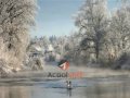 clip video Graeme Allwright Au Coeur De L Arbre