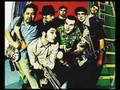 Reel Big Fish - Your Guts