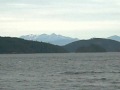 Johnstone Strait: Whales - Part Two