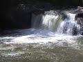 Tellico River Tellico River