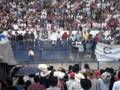 TOROS ACAYUCA 2008