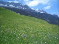 Enigma- Between Mind&heart (melodious/ Soft/ Soothing)best English Music Songs/all Time Greatest