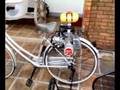 motorized bicycle