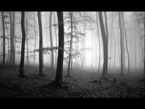 Shoot High Quality Black and White Photos