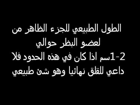 زب صغير مولع