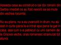 Politica comunistă sârbo-română