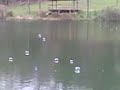 bouncing bubbes