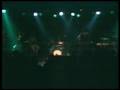 Antwerp Gipsy-Ska Orkestra Live